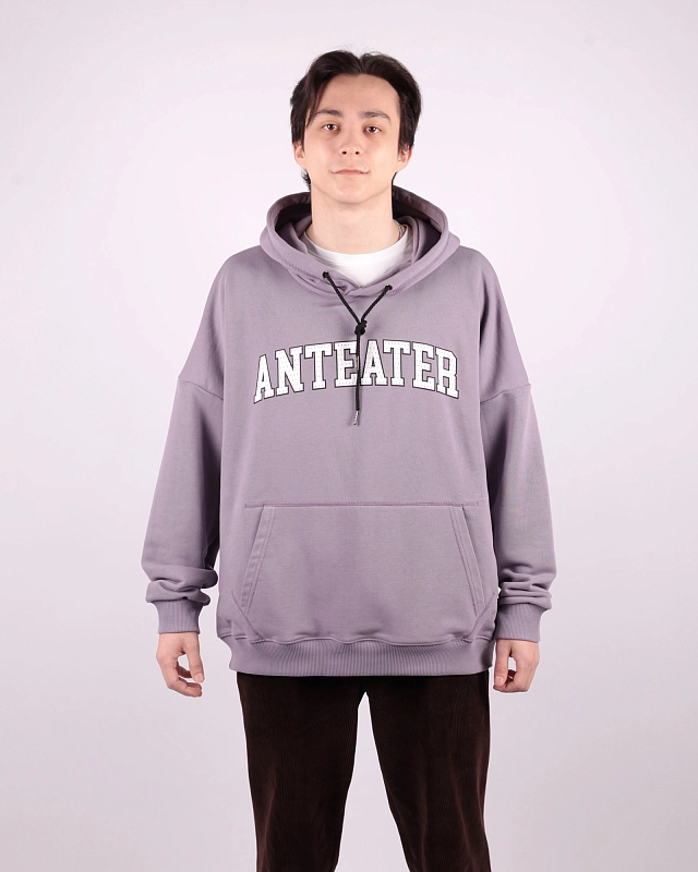 Толстовка Anteater Hoodie - фото 1
