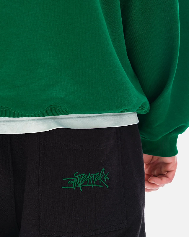 Толстовка Anteater Hoodie - фото 6