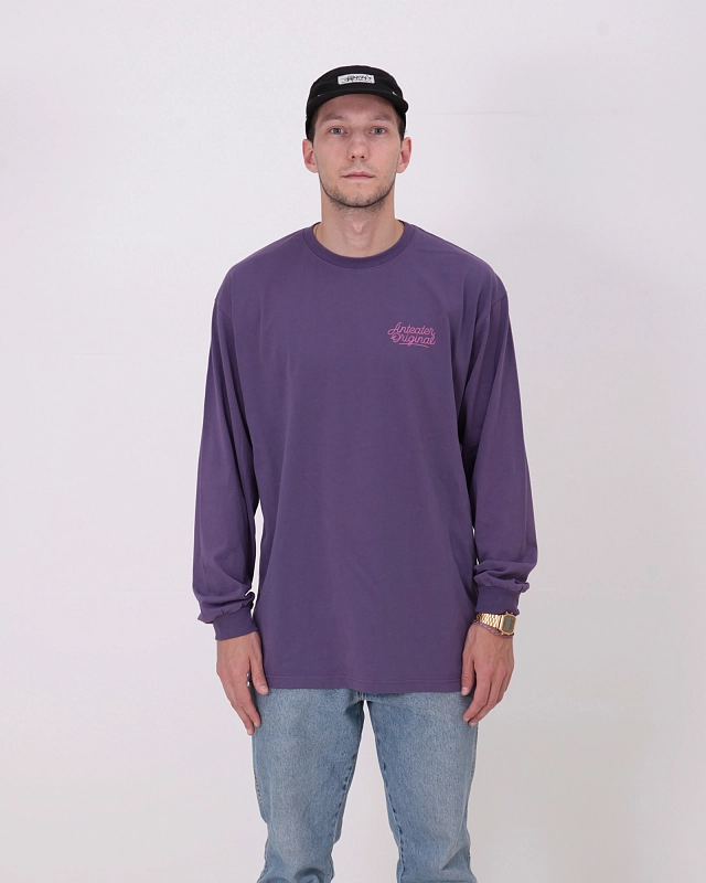 Лонгслив Anteater LongSleeve - фото 1