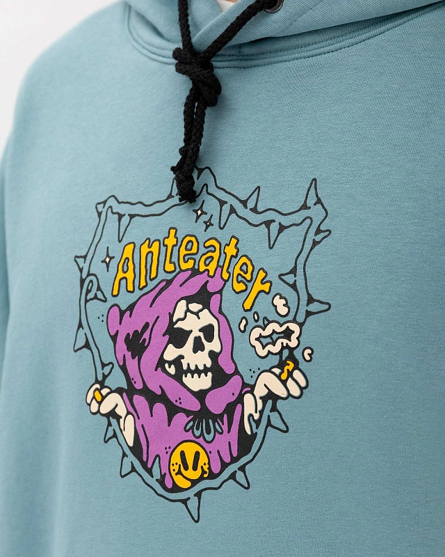 Толстовка Anteater Hoodie - фото 3