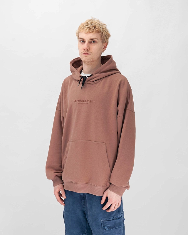 Толстовка Anteater Hoodie - фото 2