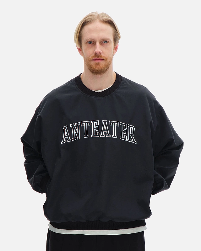 Толстовка Anteater Jersey - фото 4