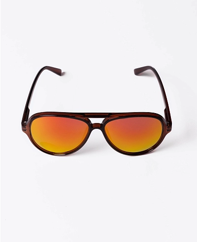 Очки Anteater Aviator