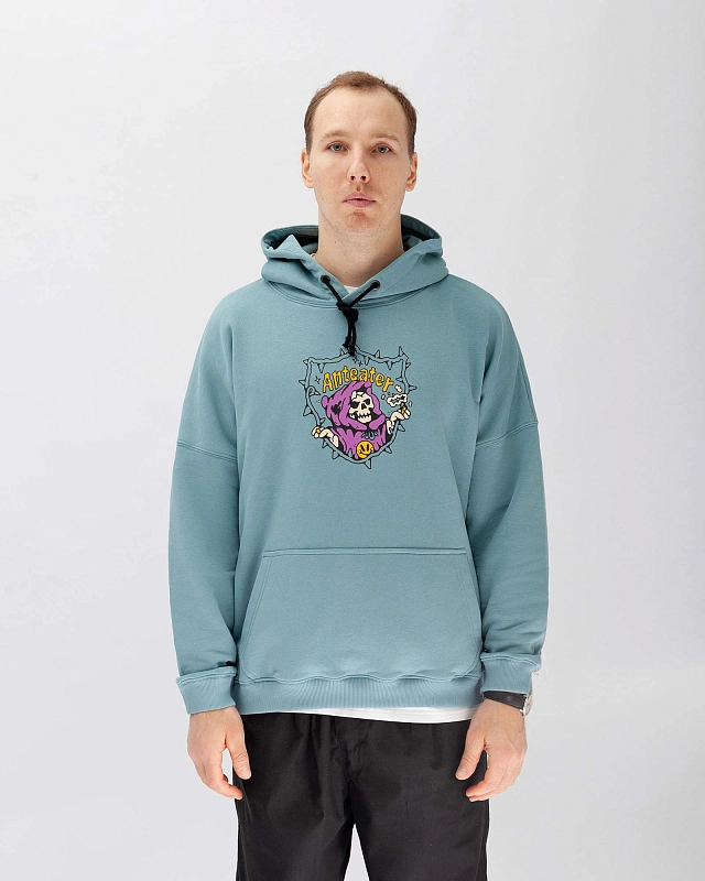 Толстовка Anteater Hoodie - фото 1