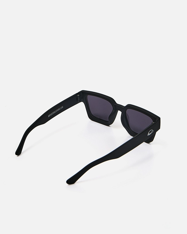 Очки Anteater President - фото 7