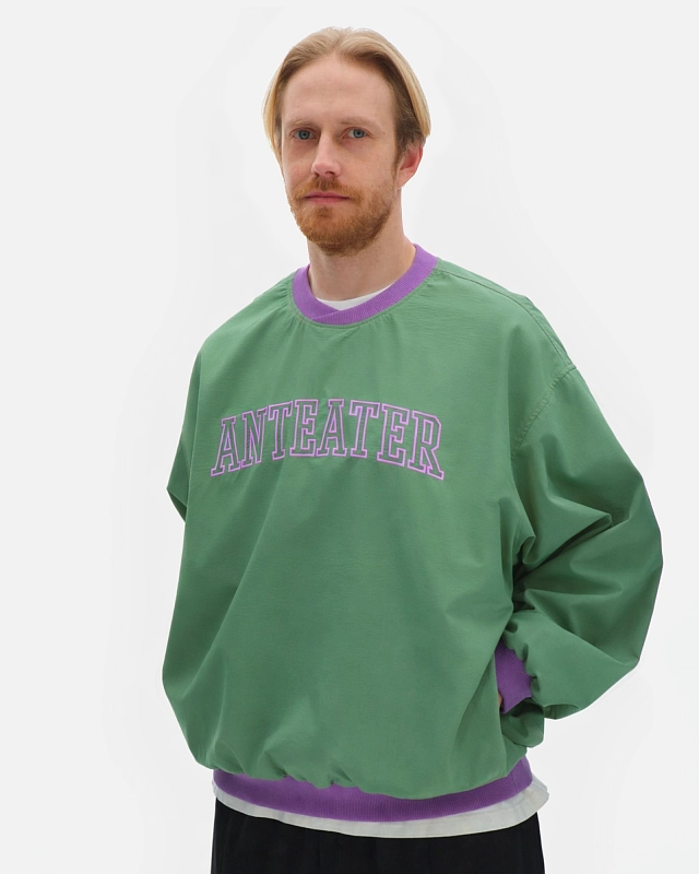 Толстовка Anteater Jersey - фото 4