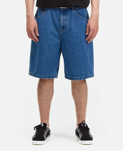 Шорты Anteater Baggy