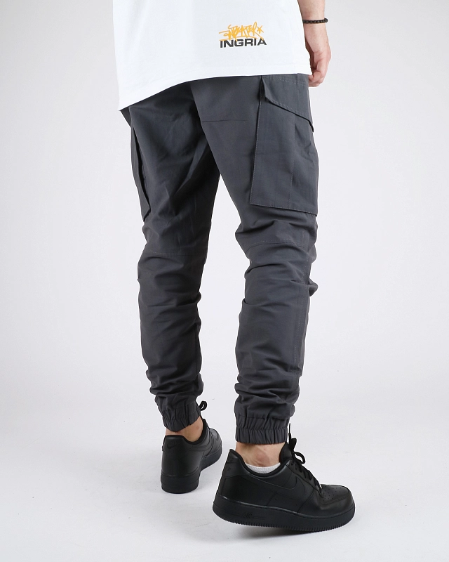 Брюки Anteater Cargo Joggers - фото 2