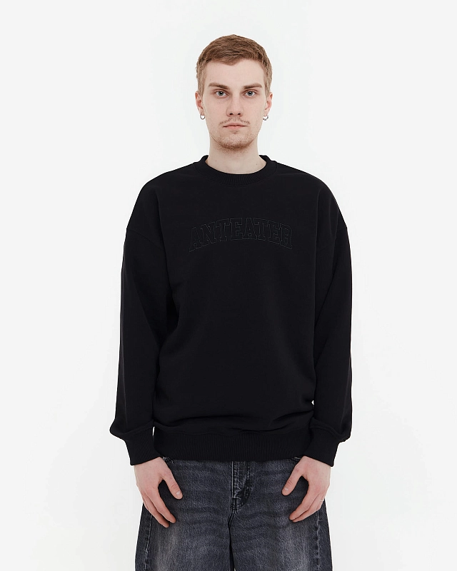 Толстовка Anteater Crewneck - фото 1