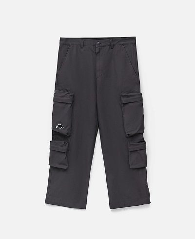 Брюки Anteater Double Cargo