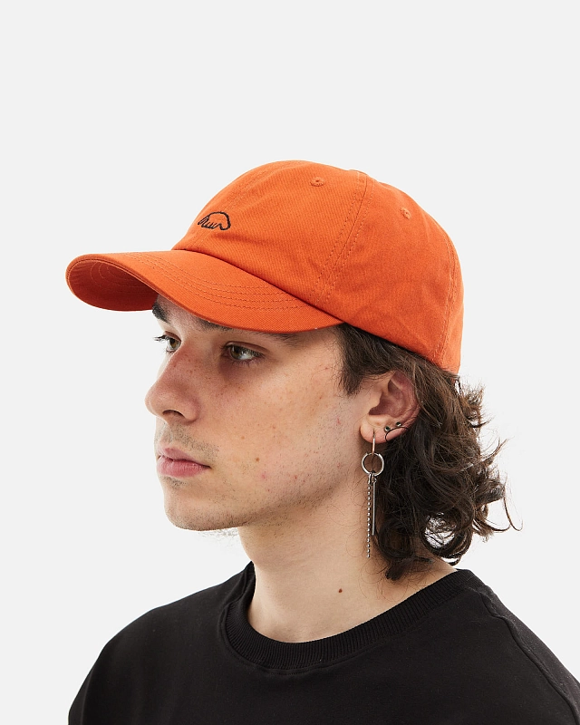 Кепка Anteater 6Panel - фото 2