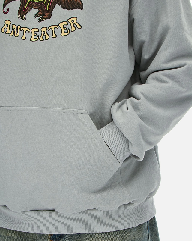 Толстовка Anteater Hoodie - фото 6