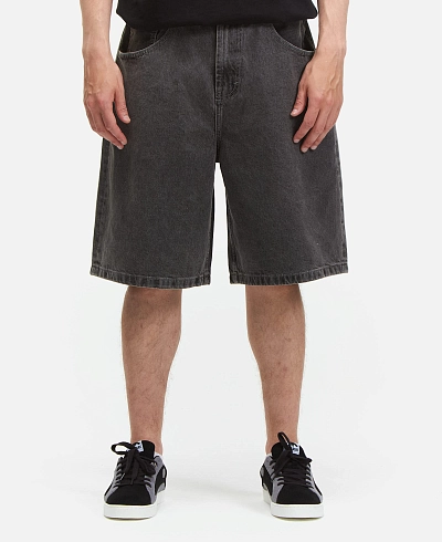 Шорты Anteater Baggy