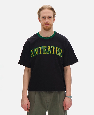 Футболка Anteater Crop Tee