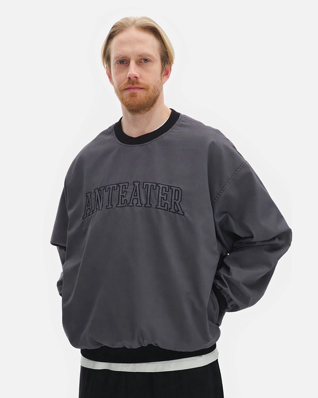 Толстовка Anteater Jersey - фото 3