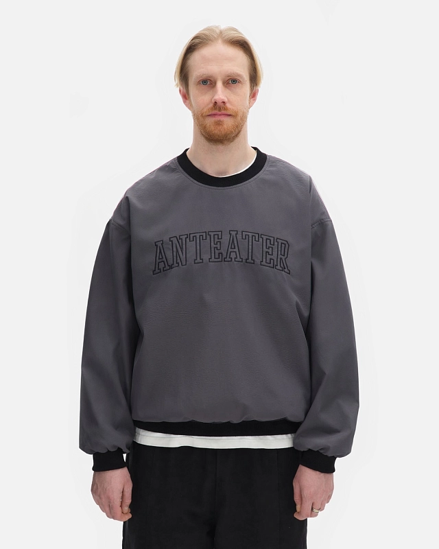 Толстовка Anteater Jersey - фото 1