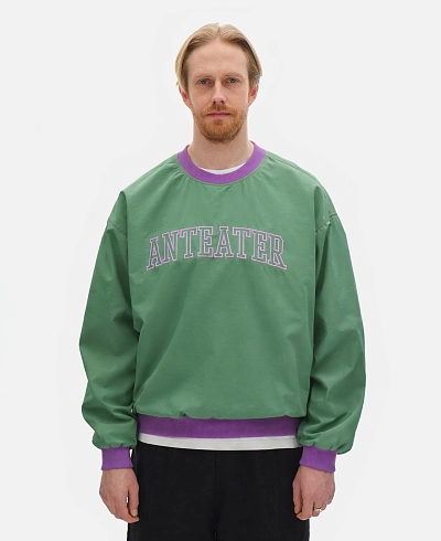 Толстовка Anteater Jersey