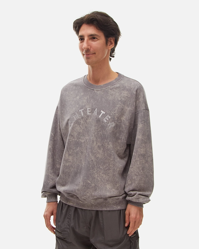 Толстовка Anteater Crewneck - фото 2
