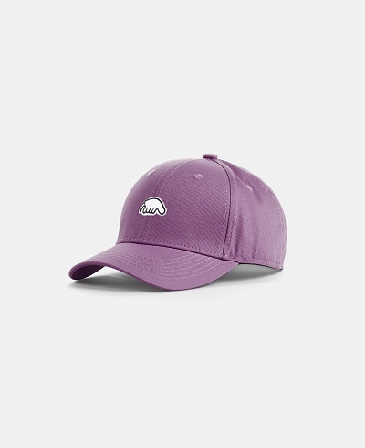Кепка Anteater Baseball