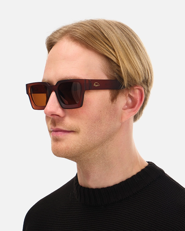 Очки Anteater President - фото 2