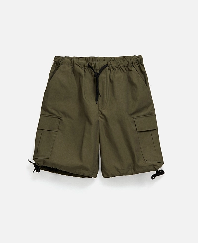 Шорты Anteater Wide Cargo Shorts