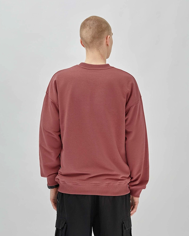Толстовка Anteater Crewneck - фото 4