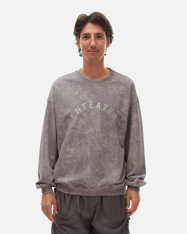 Толстовка Anteater Crewneck - фото 1