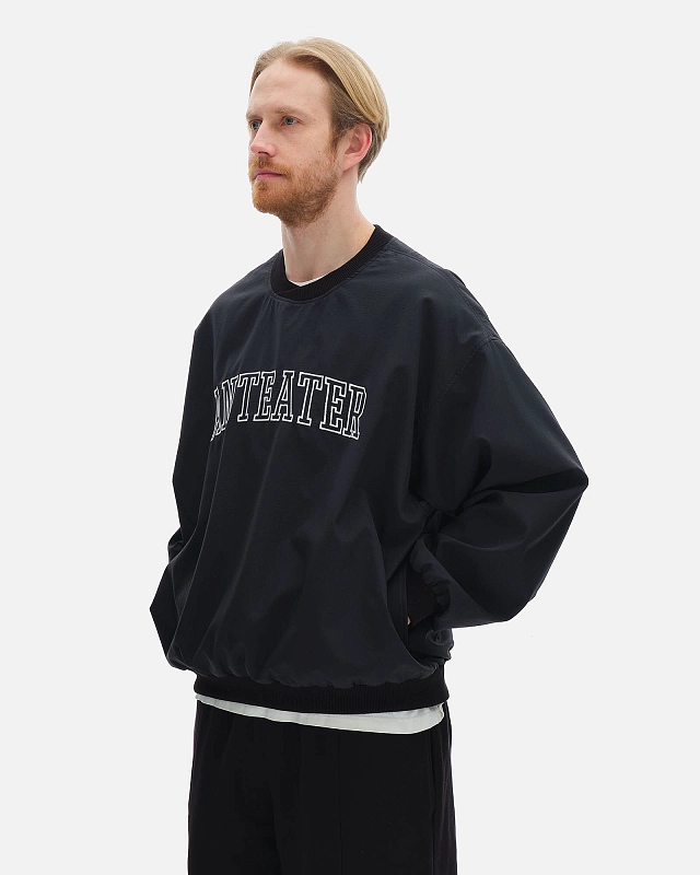 Толстовка Anteater Jersey - фото 5