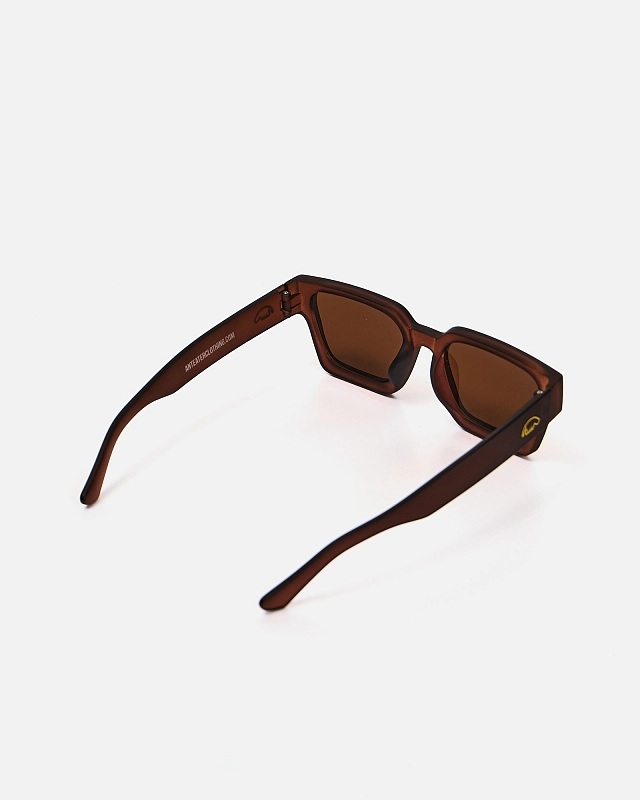 Очки Anteater President - фото 6