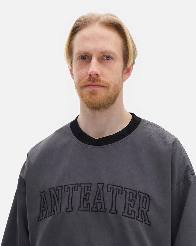 Толстовка Anteater Jersey - фото 5