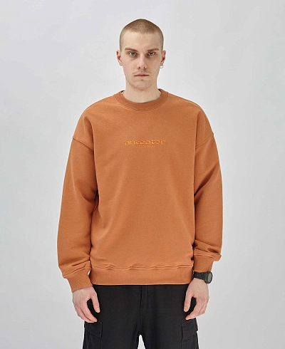 Толстовка Anteater Crewneck