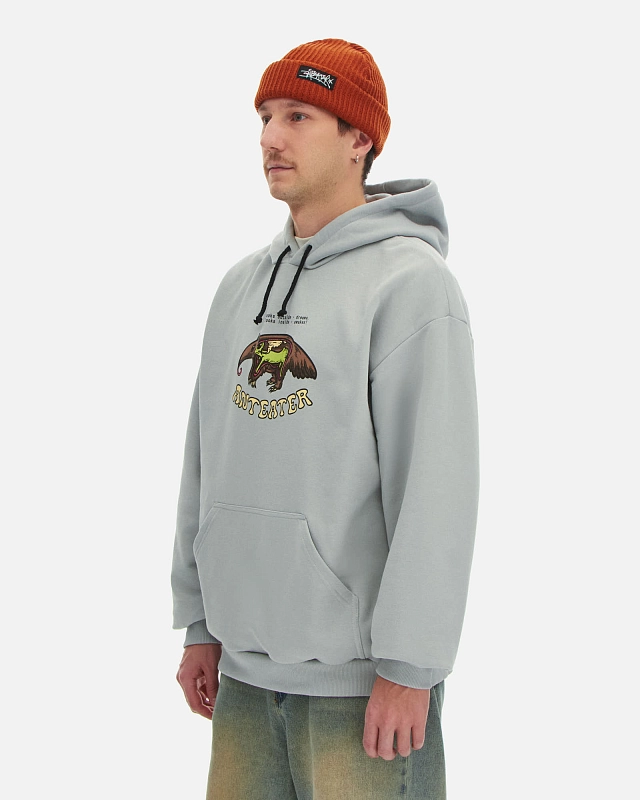 Толстовка Anteater Hoodie - фото 2