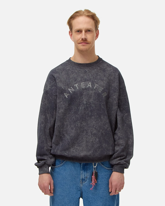 Толстовка Anteater Crewneck - фото 1
