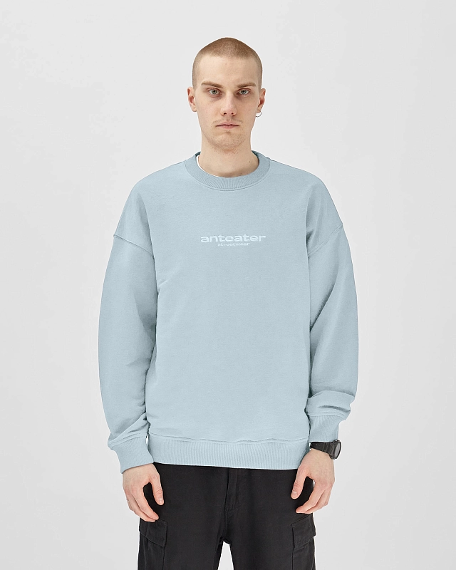 Толстовка Anteater Crewneck - фото 1