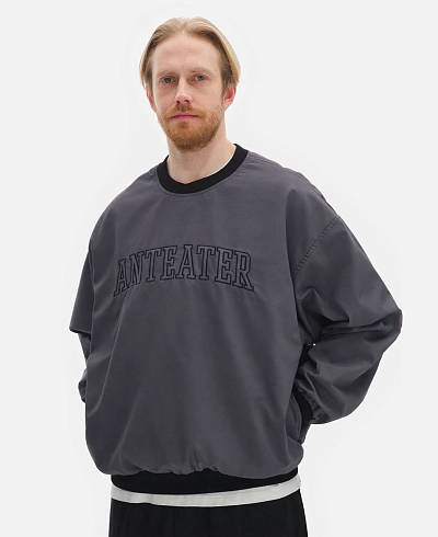 Толстовка Anteater Jersey