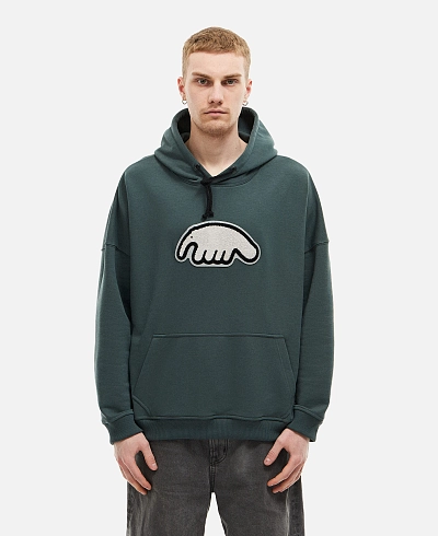 Толстовка Anteater Hoodie