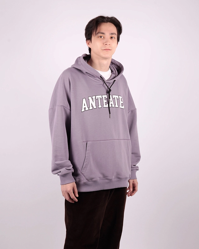 Толстовка Anteater Hoodie - фото 2