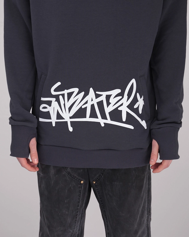 Толстовка Anteater Icon - фото 4