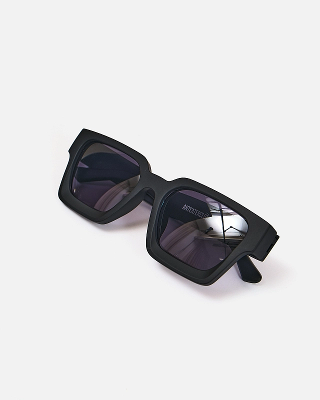 Очки Anteater President - фото 6