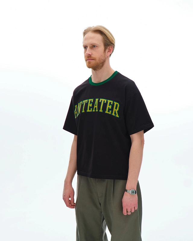 Футболка Anteater Crop Tee - фото 2