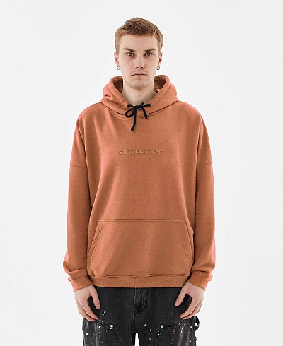 Толстовка Anteater Hoodie