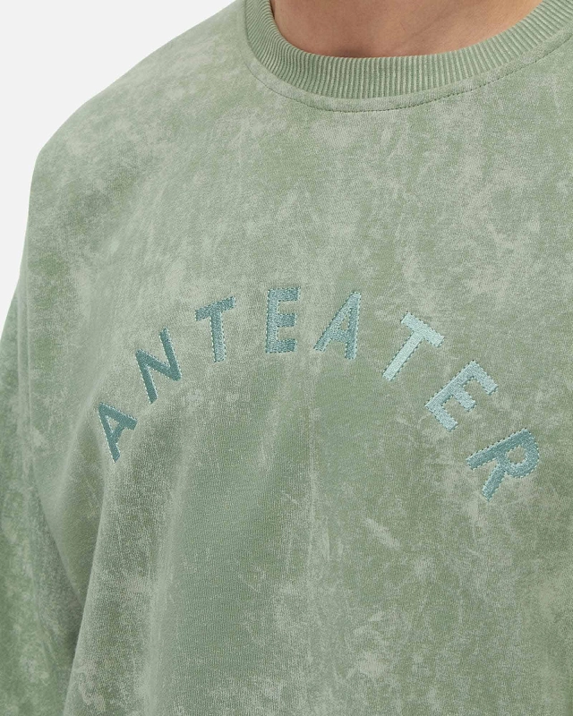 Толстовка Anteater Crewneck - фото 3