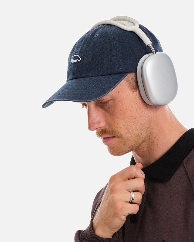Кепка Anteater 6Panel - фото 1