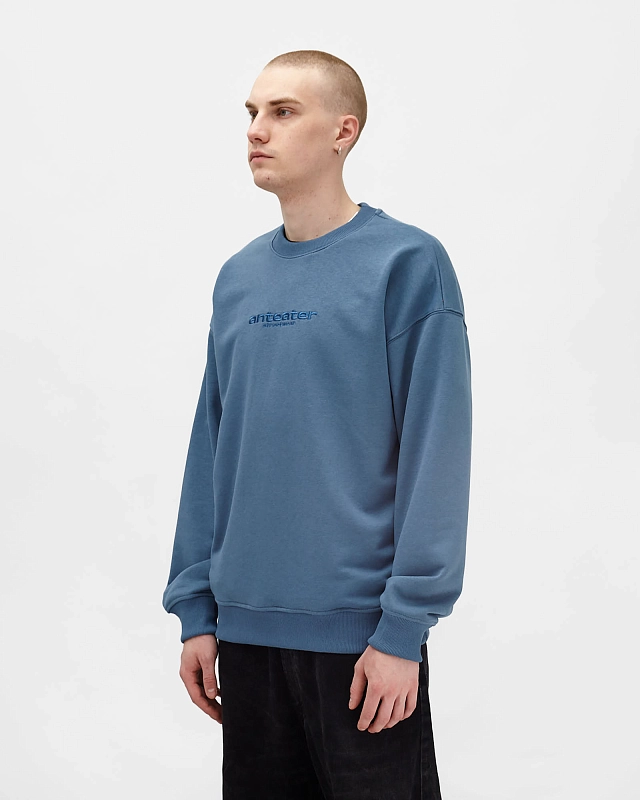 Толстовка Anteater Crewneck - фото 2