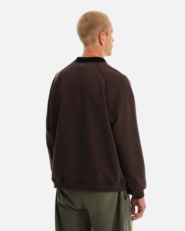 Толстовка Anteater Polo Crew - фото 3
