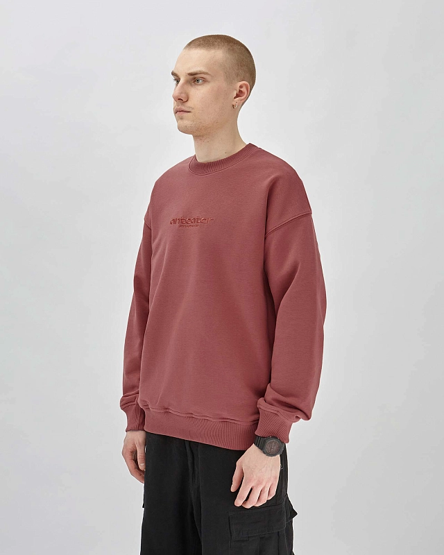 Толстовка Anteater Crewneck - фото 2