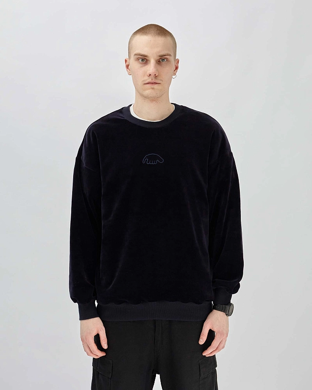 Толстовка Anteater Crewneck - фото 1